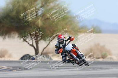 media/Oct-13-2025-Moto Forza (Mon) [[a66d839500]]/3-B Group/Session 4 Turn 4 Tree of Life/